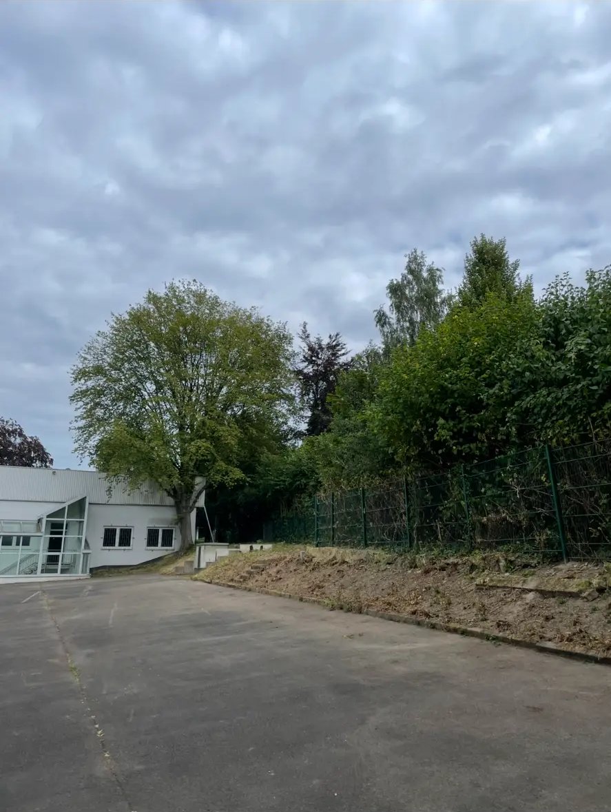 Hof & Böschung nachher