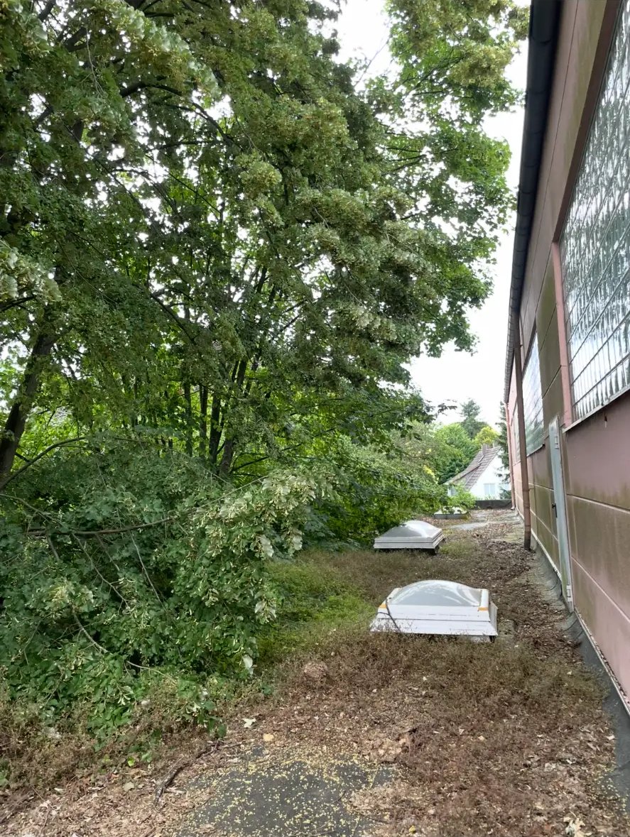 Dachfläche am Hallengebäude vorher