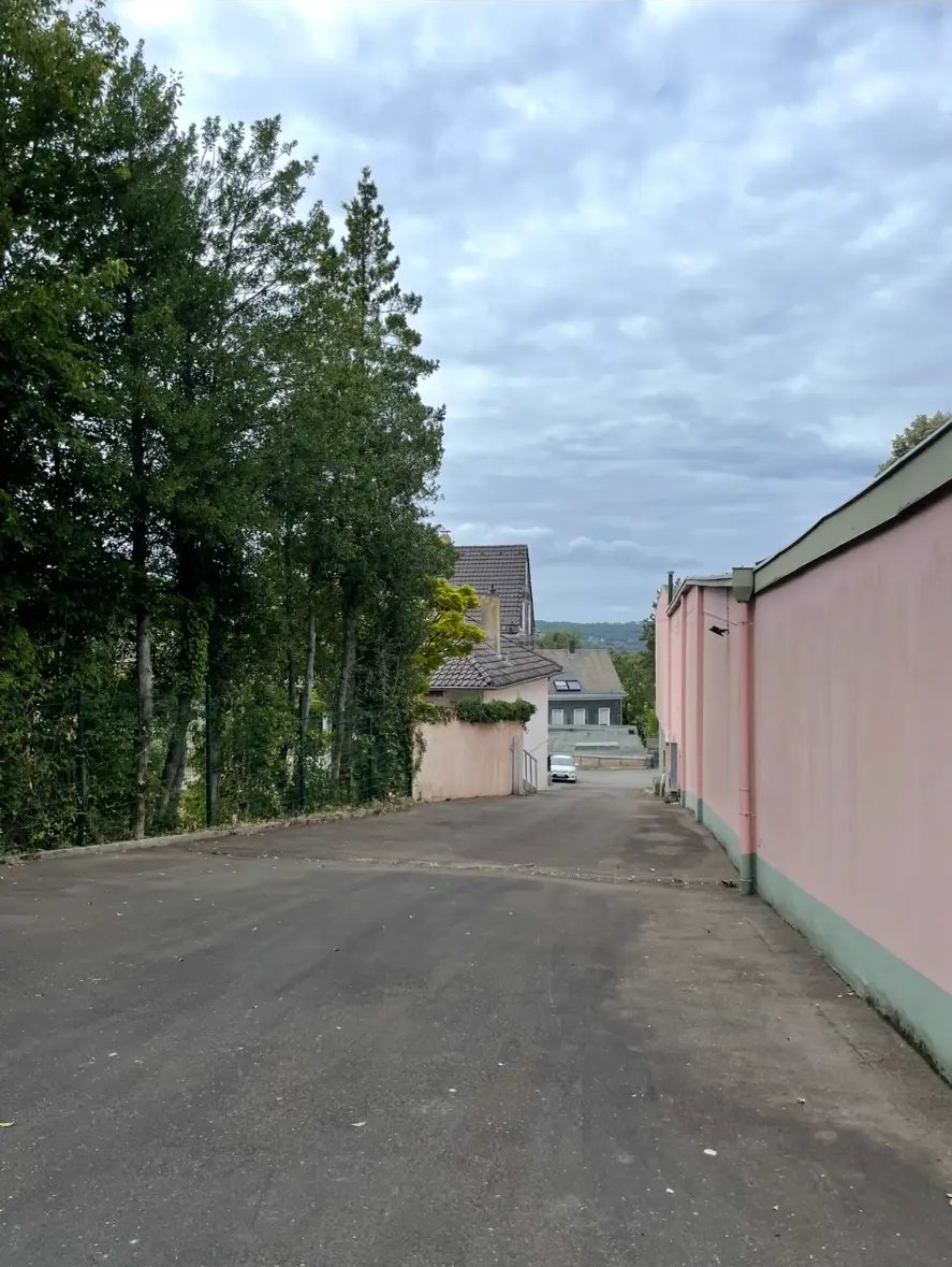 Zufahrt & Grünstreifen nachher
